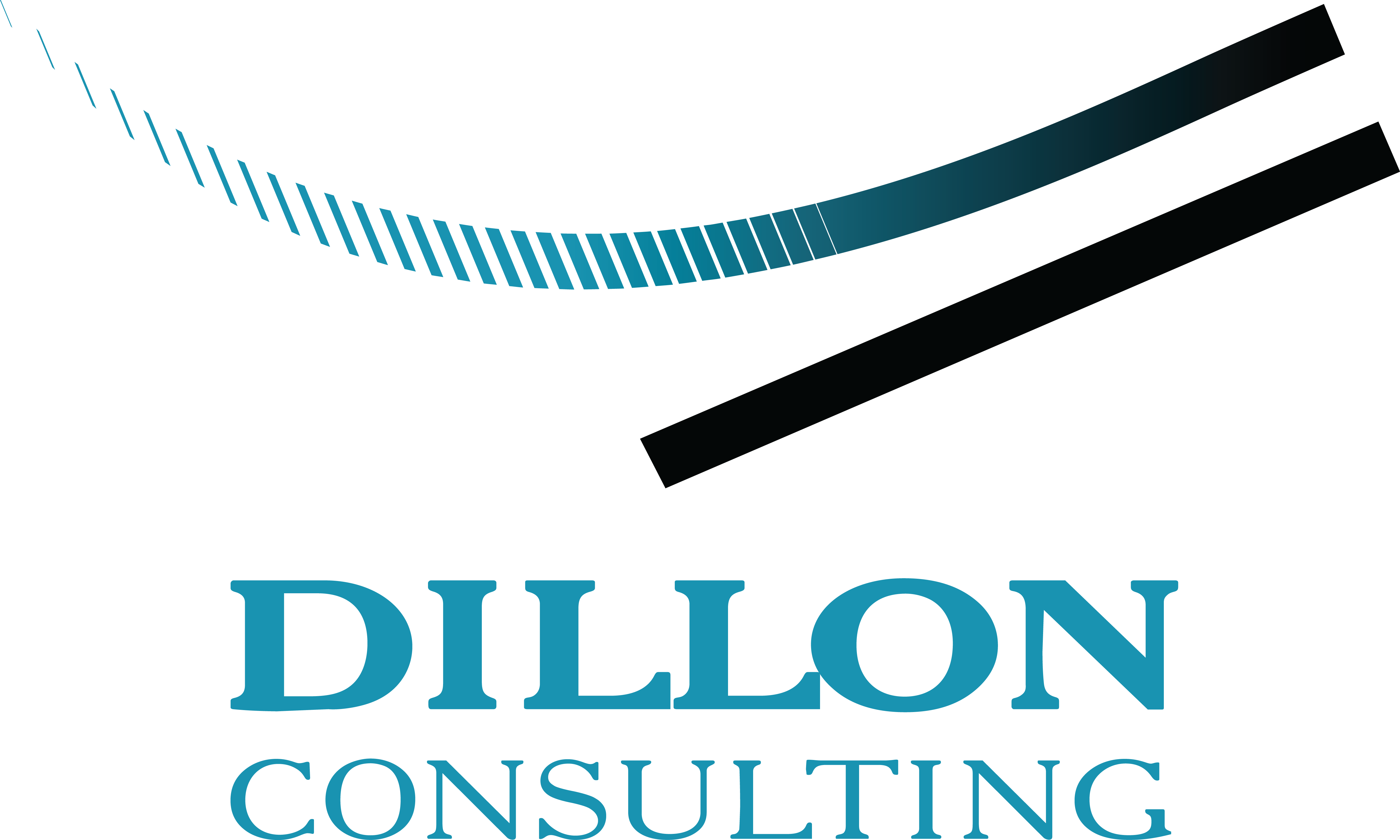 Dillon Consulting Limited logo