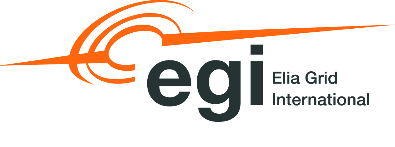 Elia Grid International logo